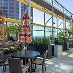 2 Bed 2 Bath Stylish Luxury Premium High-Rise Apartment